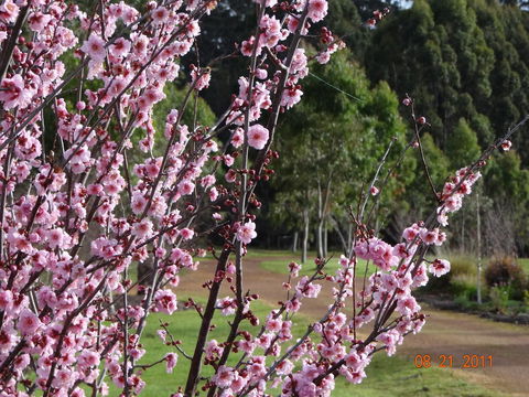Big Brook Retreat - Accommodation Gladstone 9