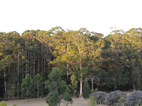 Big Brook Retreat - Accommodation Gladstone 11