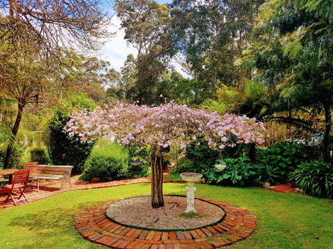 Adamsons Riverside Accommodation - Accommodation Gladstone 25