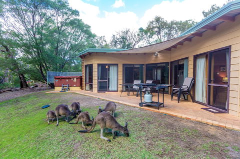 Yelverton Brook Conservation Sanctuary - Accommodation Gladstone 18
