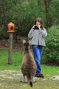 Yelverton Brook Conservation Sanctuary - Accommodation Gladstone 39