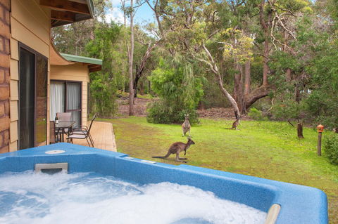 Yelverton Brook Conservation Sanctuary - Accommodation Gladstone 9
