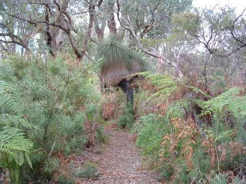 Yelverton Brook Conservation Sanctuary - Accommodation Gladstone 41