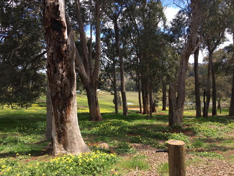 Tegwan's Nest Holiday Home - Accommodation Gladstone 28