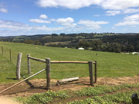 Tegwan's Nest Holiday Home - Accommodation Gladstone 39