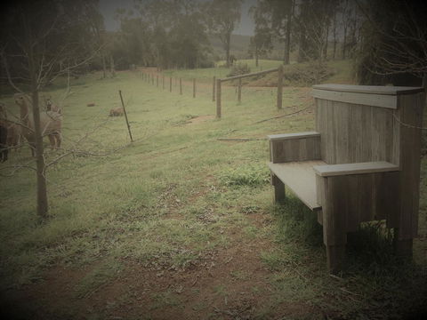 Tegwan's Nest Holiday Home - Accommodation Gladstone 43