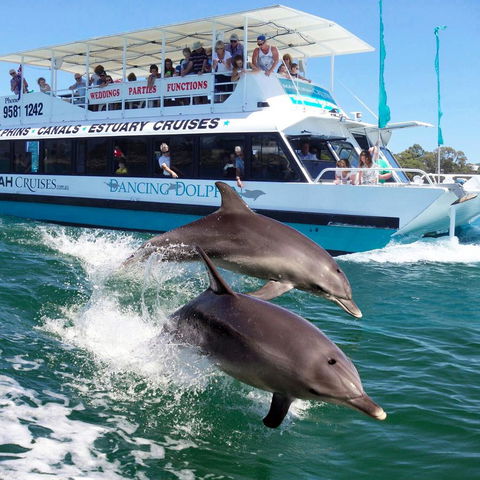 Mandurah Coastal Holiday Park - Accommodation Gladstone 0