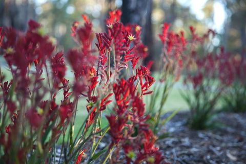 Amaroo Retreat & Spa - Accommodation Gladstone 16