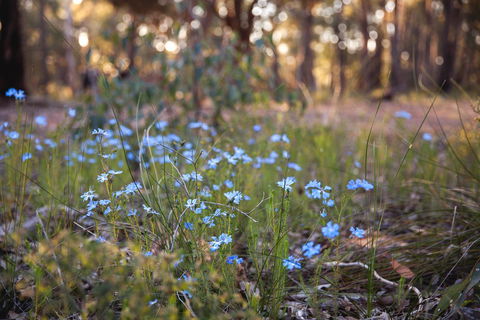 Amaroo Retreat & Spa - Accommodation Gladstone 15