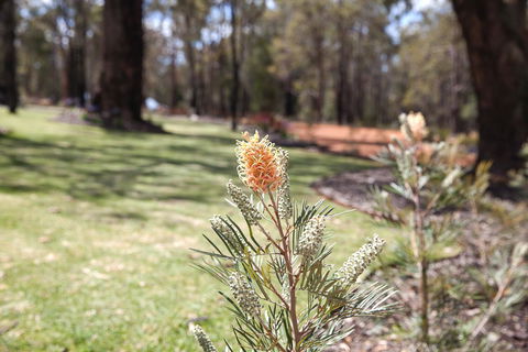 Amaroo Retreat & Spa - Accommodation Gladstone 19