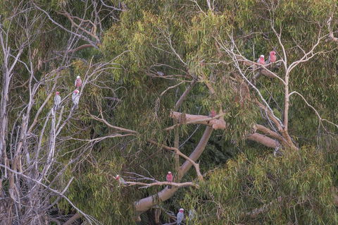 12/26 Yallingup Beach Road - Accommodation Gladstone 19