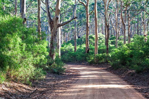Margaret River Retreat - Accommodation Gladstone 20