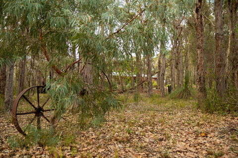 Denmark Forest Retreat - Accommodation Gladstone 5