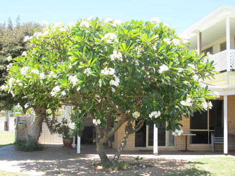 Kalbarri Riverfront Unit - Accommodation Gladstone 6