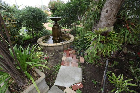 Jacaranda Guest House - Accommodation Gladstone 32