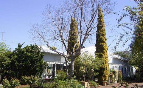 Jacaranda Guest House - Accommodation Gladstone 37