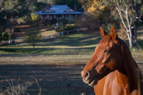 Historic Oakhill House Entire Estate - Accommodation Gladstone 9
