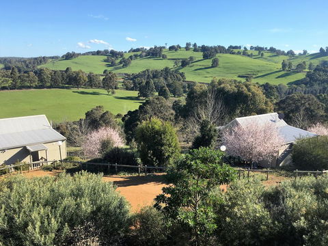Balingup Highview Chalets - Accommodation Gladstone 5