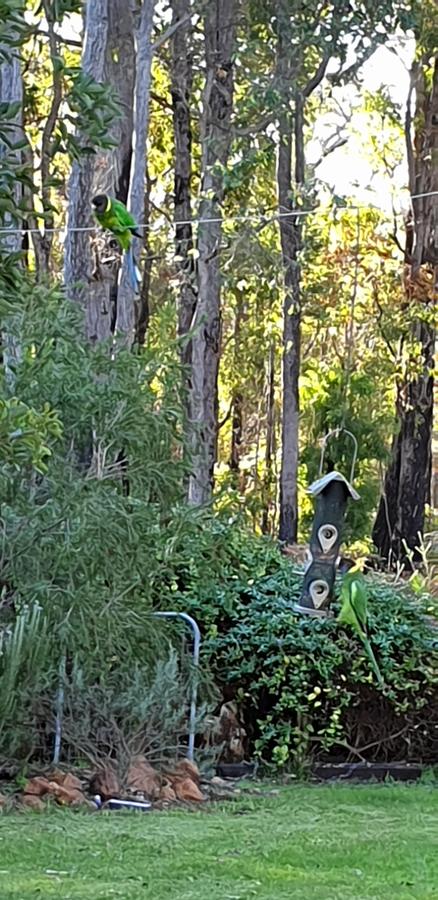 Di's Cabin In Dwellingup - Accommodation Gladstone 6