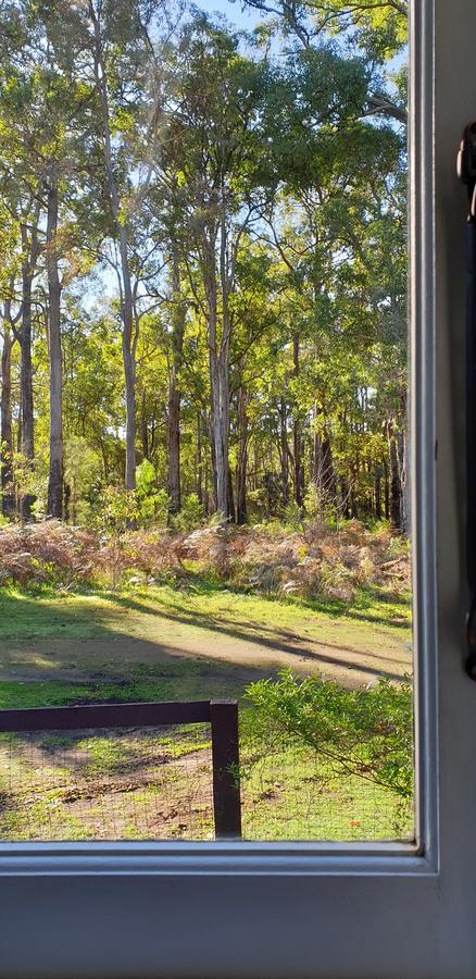 Di's Cabin In Dwellingup - Accommodation Gladstone 2