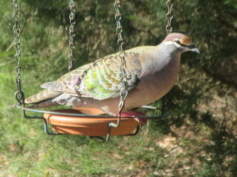 Di's Cabin In Dwellingup - Accommodation Gladstone 25