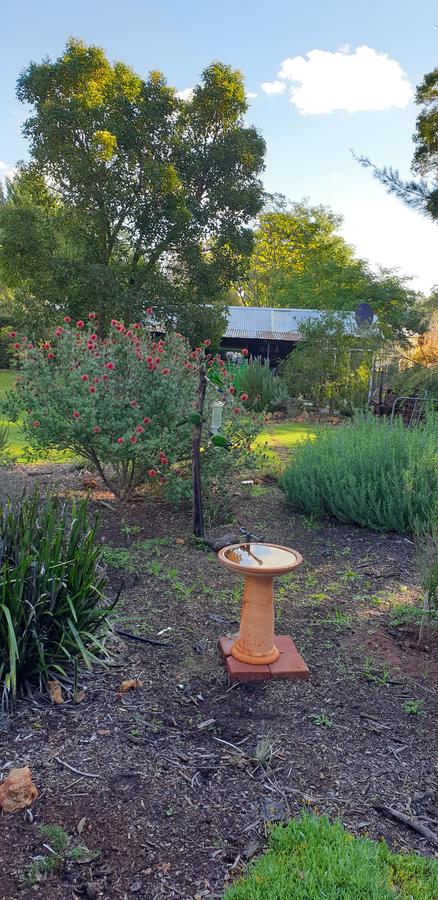 Di's Cabin In Dwellingup - Accommodation Gladstone 14