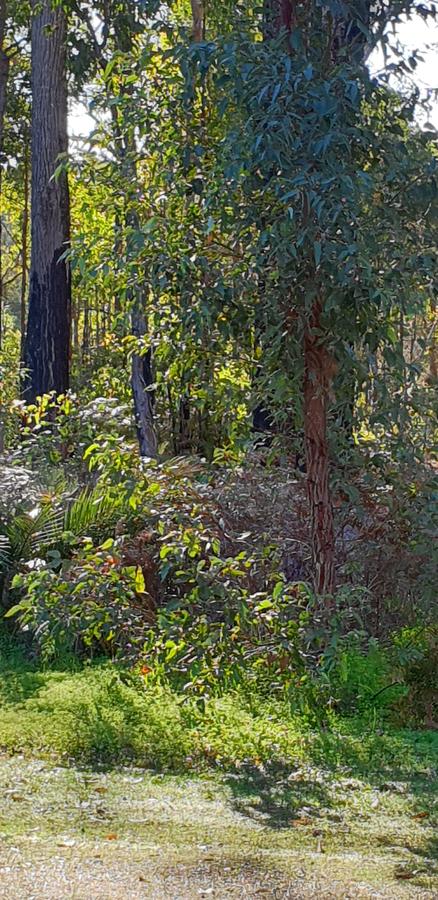 Di's Cabin In Dwellingup - Accommodation Gladstone 8