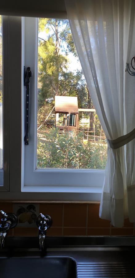 Di's Cabin In Dwellingup - Accommodation Gladstone 15