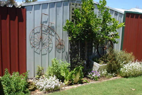 Bluebird Cottage - Accommodation Gladstone 26
