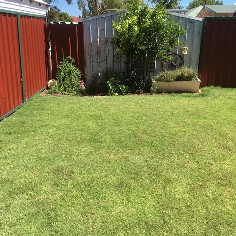 Bluebird Cottage - Accommodation Gladstone 29