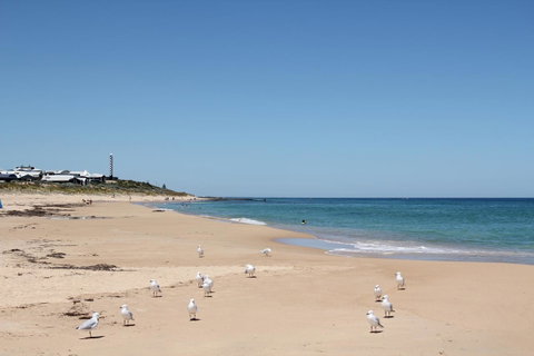 Bluebird Cottage - Accommodation Gladstone 40