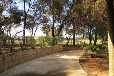 Bentwood Olive Grove Accommodation - Accommodation Gladstone 2