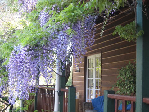 RoseMoore Bed & Breakfast - Accommodation Gladstone 11