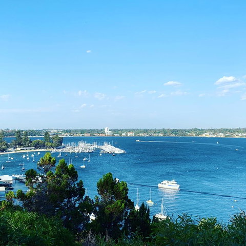 SEA BREEZE â€“ Between Cottesloe Beach & Swan River - Accommodation Gladstone 23