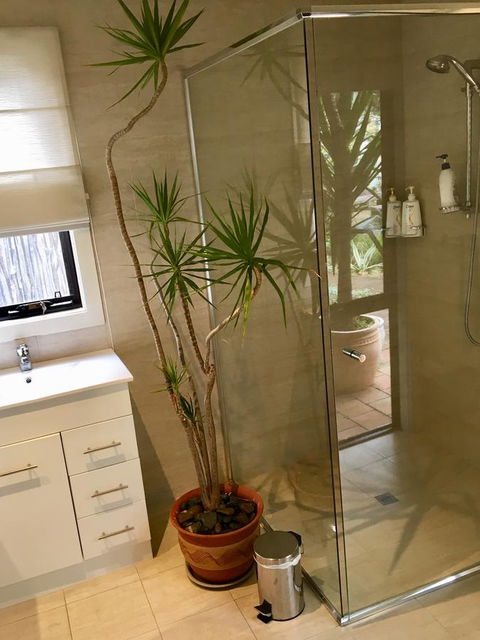DESIGNER'S STUDIO - Accommodation Gladstone 11