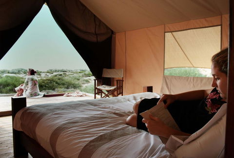 Sal Salis Ningaloo Reef - Accommodation Gladstone 12