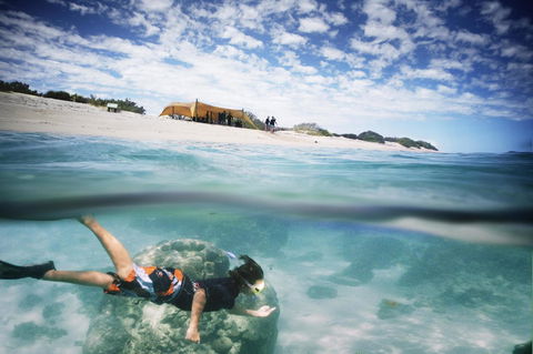 Sal Salis Ningaloo Reef - Accommodation Gladstone 16