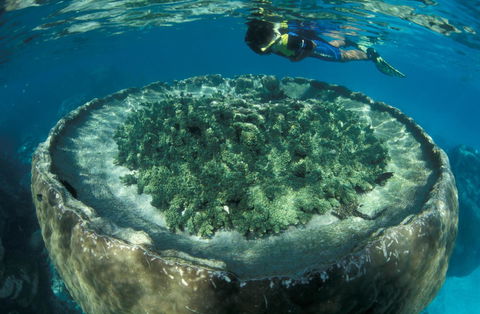 Sal Salis Ningaloo Reef - Accommodation Gladstone 8