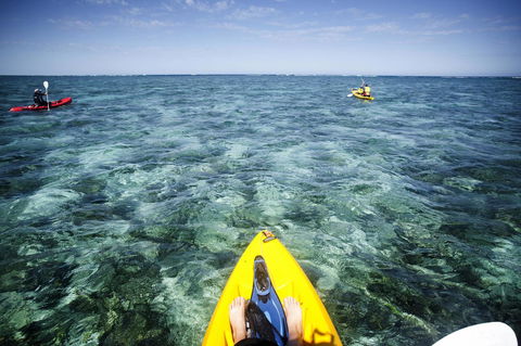 Sal Salis Ningaloo Reef - Accommodation Gladstone 15