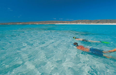 Sal Salis Ningaloo Reef - Accommodation Gladstone 9