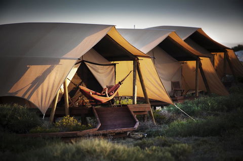Sal Salis Ningaloo Reef - Accommodation Gladstone 23