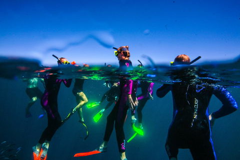 Sal Salis Ningaloo Reef - Accommodation Gladstone 26