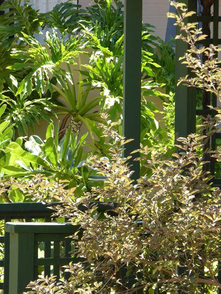 Kalbarri Beach Resort - Accommodation Gladstone 32