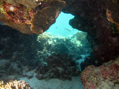 Ningaloo Coral Bay â€“ Bayview - Accommodation Gladstone 4
