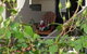 Como Executive Apartment - thumb 17