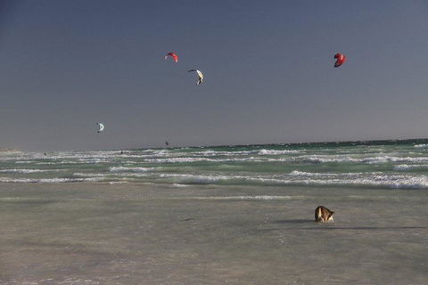 Dongara Tourist Park - Accommodation Gladstone 33