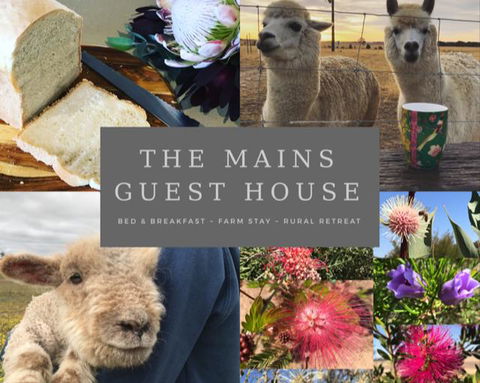 The Mains Guest House 2 Bedroom Farm Stay - Accommodation Gladstone 0