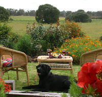 Silversprings cottages - Accommodation Gladstone