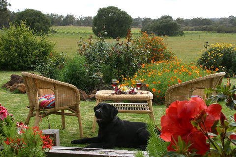 SilverSprings Spa Retreat Pet Friendly Cottages And Glampings - Accommodation Gladstone 0