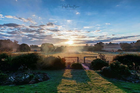 SilverSprings Spa Retreat Pet Friendly Cottages And Glampings - Accommodation Gladstone 26